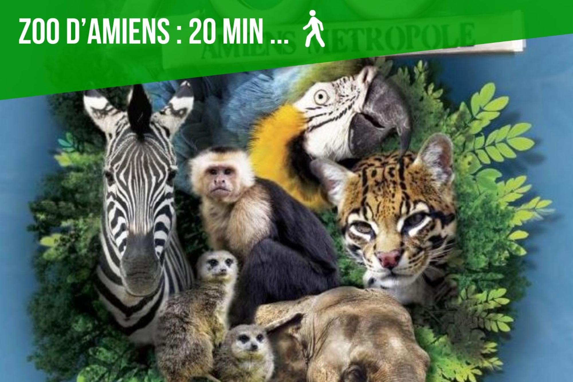 Duplex Safari Jusqu'A 4 Personnes, Spa, Cinema Et Lit Sous Les Arbres, Day Use, 10 Min Centre Amiens Luaran gambar